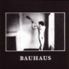 Bauhaus（バウハウス）/ In the Flat Field